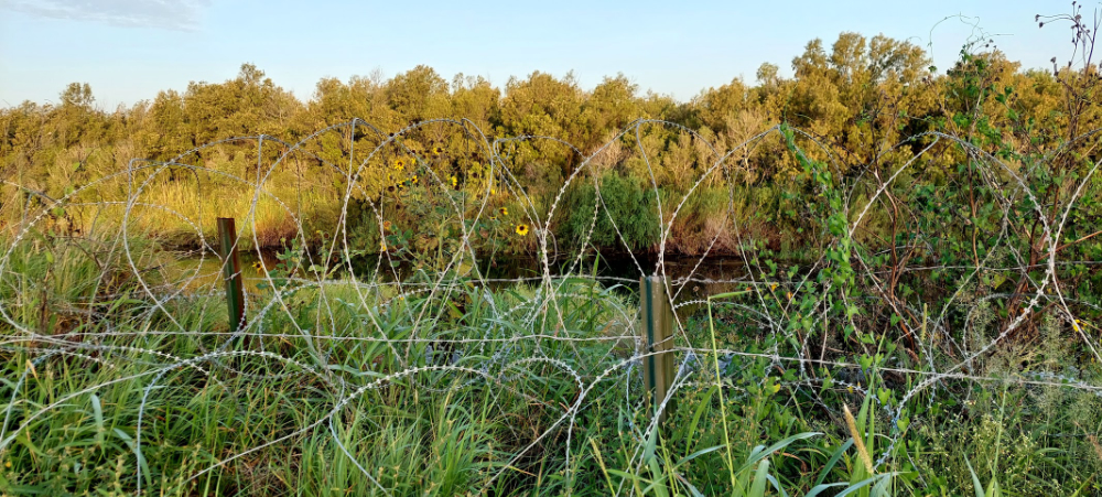a barbed wire fence in a field