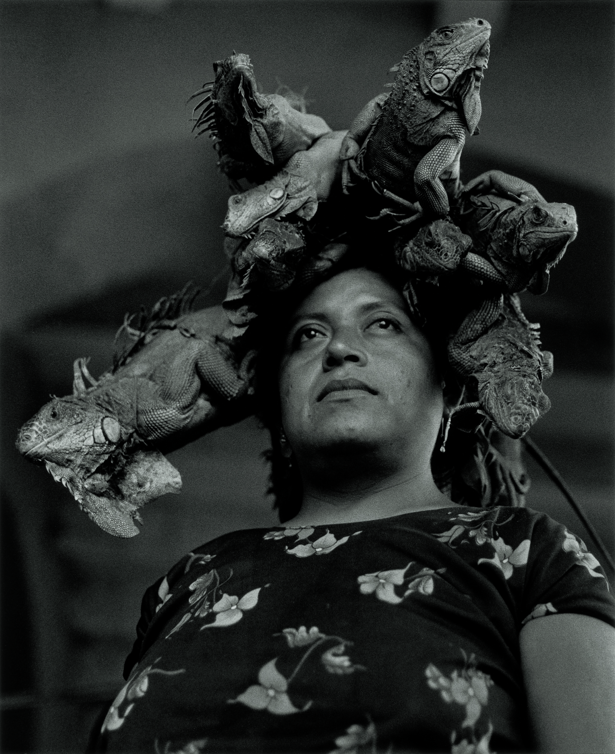 Graciela Iturbide, la mirada de México que llega a San Diego mujer con iguanas en la cabeza