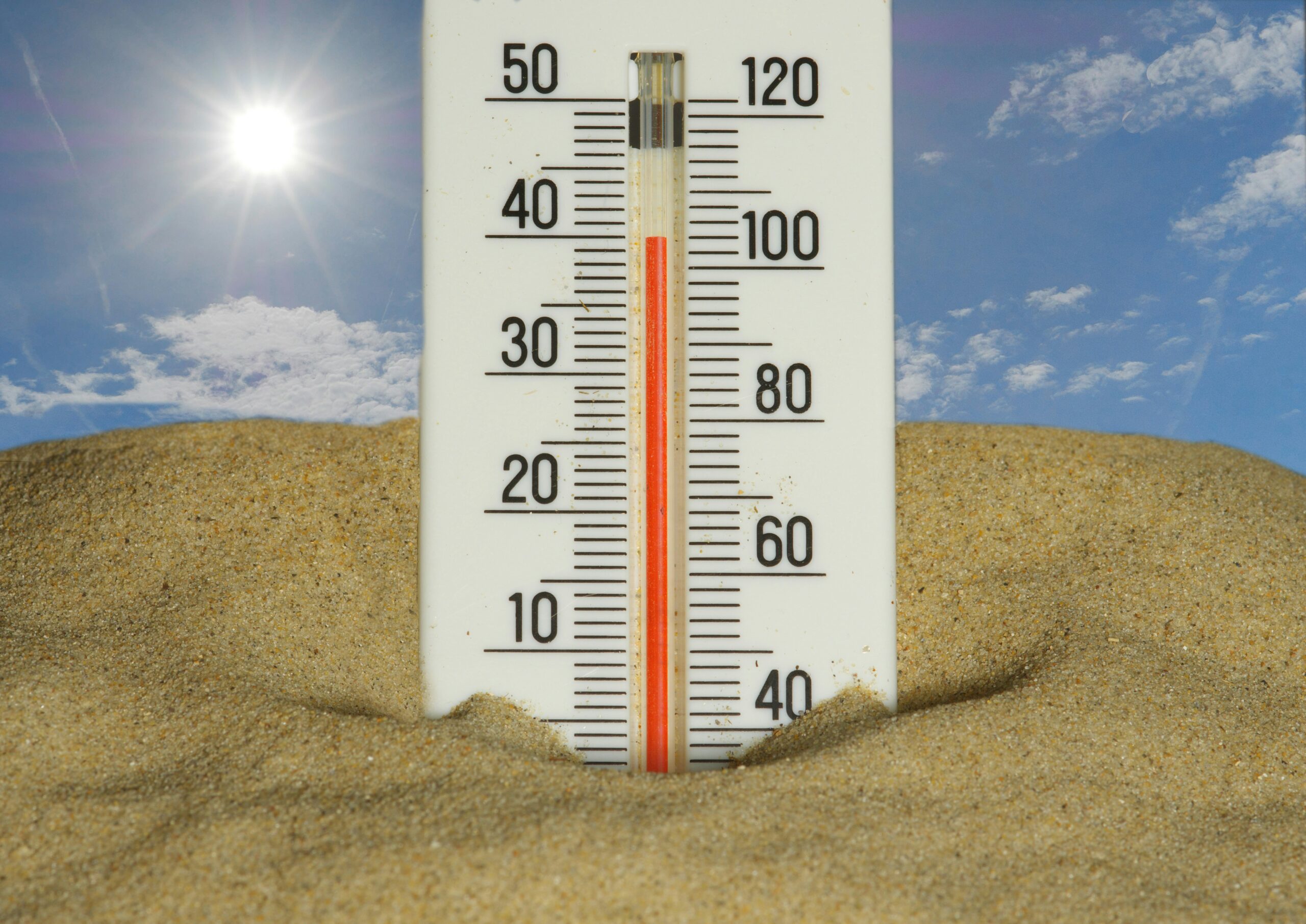 Condado de San Diego bajo alertas por calor extremo esta semana immo-wegmann-qs5HR1dG7h4-unsplash